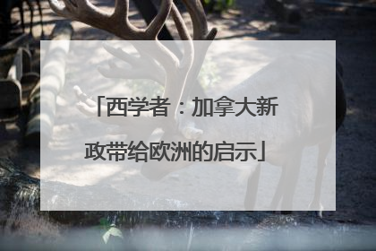 西学者：加拿大新政带给欧洲的启示