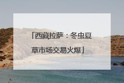 西藏拉萨：冬虫夏草市场交易火爆