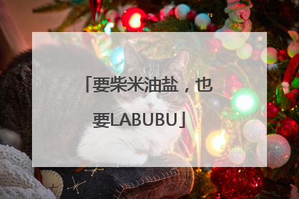 要柴米油盐，也要LABUBU
