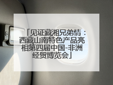 见证藏湘兄弟情：西藏山南特色产品亮相第四届中国-非洲经贸博览会
