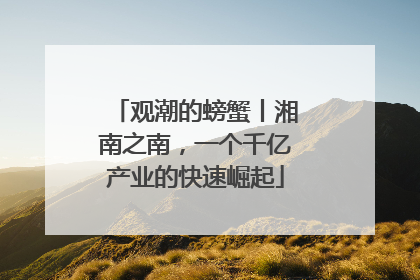 观潮的螃蟹丨湘南之南，一个千亿产业的快速崛起