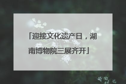 迎接文化遗产日，湖南博物院三展齐开