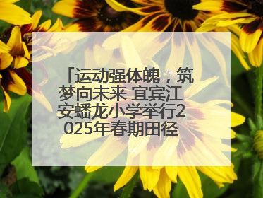 运动强体魄，筑梦向未来 宜宾江安蟠龙小学举行2025年春期田径运动会