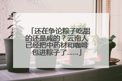 还在争论粽子吃甜的还是咸的？云南人已经把中药材和咖啡包进粽子了……