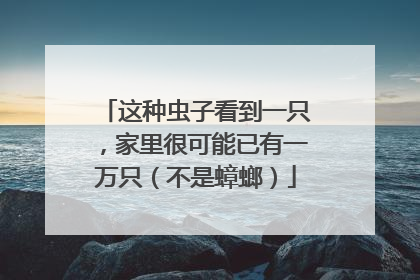 这种虫子看到一只，家里很可能已有一万只（不是蟑螂）