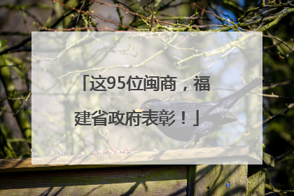 这95位闽商，福建省政府表彰！