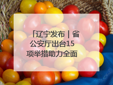 辽宁发布｜省公安厅出台15项举措助力全面振兴新突破三年行动决胜之战