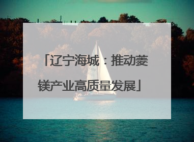 辽宁海城：推动菱镁产业高质量发展