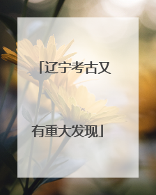 辽宁考古又有重大发现
