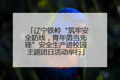 辽宁铁岭“筑牢安全防线，青年勇当先锋”安全生产进校园主题团日活动举行