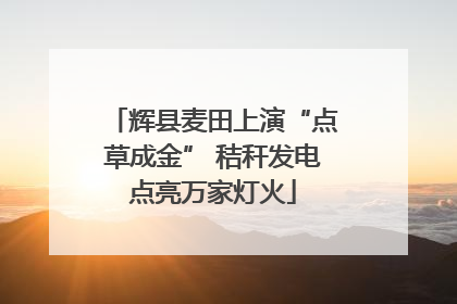 辉县麦田上演“点草成金” 秸秆发电点亮万家灯火