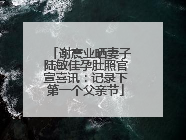 谢震业晒妻子陆敏佳孕肚照官宣喜讯：记录下第一个父亲节