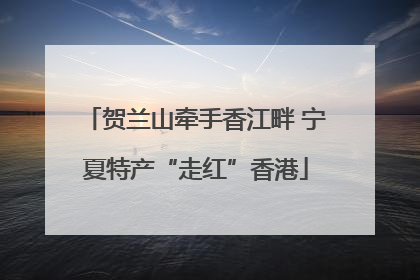 贺兰山牵手香江畔 宁夏特产“走红”香港