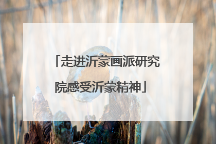走进沂蒙画派研究院感受沂蒙精神