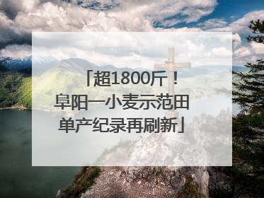超1800斤！阜阳一小麦示范田单产纪录再刷新