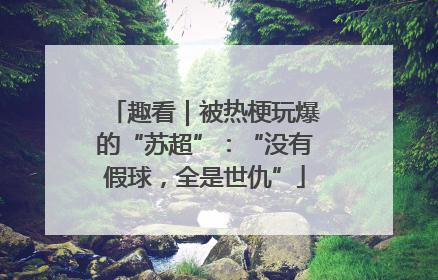 趣看｜被热梗玩爆的“苏超”：“没有假球，全是世仇”