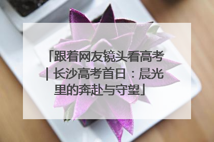 跟着网友镜头看高考｜长沙高考首日：晨光里的奔赴与守望