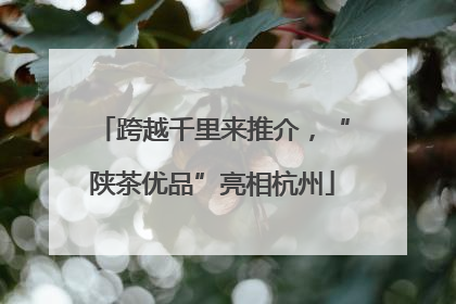 跨越千里来推介，“陕茶优品”亮相杭州