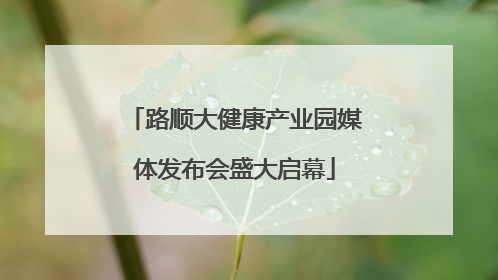 路顺大健康产业园媒体发布会盛大启幕