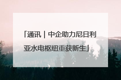 通讯｜中企助力尼日利亚水电枢纽重获新生