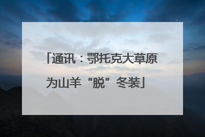 通讯：鄂托克大草原为山羊“脱”冬装