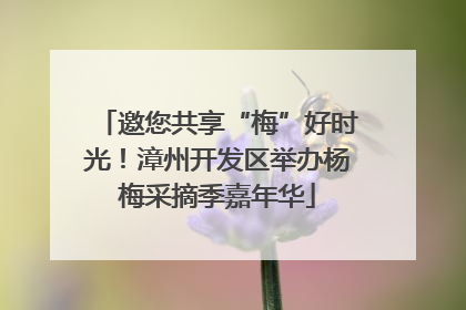 邀您共享“梅”好时光！漳州开发区举办杨梅采摘季嘉年华