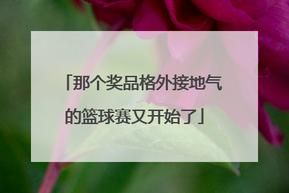 那个奖品格外接地气的篮球赛又开始了