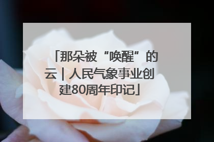 那朵被“唤醒”的云｜人民气象事业创建80周年印记