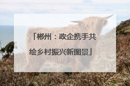 郴州：政企携手共绘乡村振兴新图景