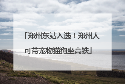 郑州东站入选！郑州人可带宠物猫狗坐高铁