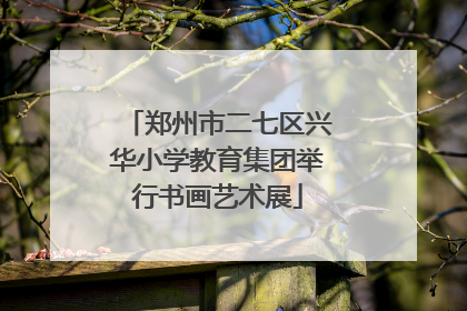 郑州市二七区兴华小学教育集团举行书画艺术展