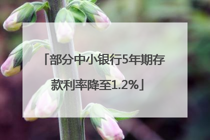 部分中小银行5年期存款利率降至1.2%
