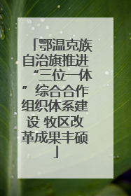 鄂温克族自治旗推进“三位一体”综合合作组织体系建设 牧区改革成果丰硕