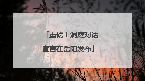 重磅！洞庭对话宣言在岳阳发布