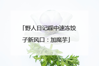 野人日记踩中速冻饺子新风口：加魔芋