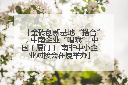 金砖创新基地“搭台”，中南企业“唱戏” 中国（厦门）-南非中小企业对接会在厦举办