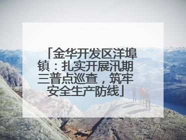 金华开发区洋埠镇：扎实开展汛期三普点巡查，筑牢安全生产防线