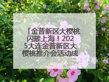 金普新区大樱桃闪耀上海！2025大连金普新区大樱桃推介会活动成功举办！