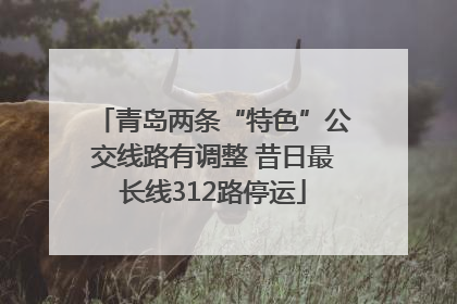 青岛两条“特色”公交线路有调整 昔日最长线312路停运