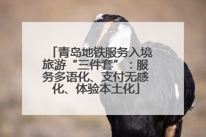 青岛地铁服务入境旅游“三件套”：服务多语化、支付无感化、体验本土化