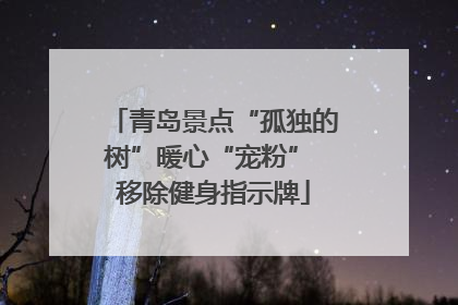 青岛景点“孤独的树”暖心“宠粉” 移除健身指示牌