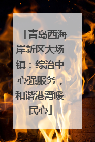 青岛西海岸新区大场镇：综治中心强服务，和谐港湾暖民心