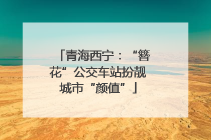 青海西宁：“簪花”公交车站扮靓城市“颜值”
