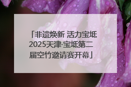 非遗焕新 活力宝坻 2025天津·宝坻第二届空竹邀请赛开幕