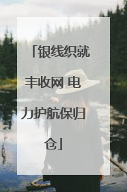 银线织就丰收网 电力护航保归仓