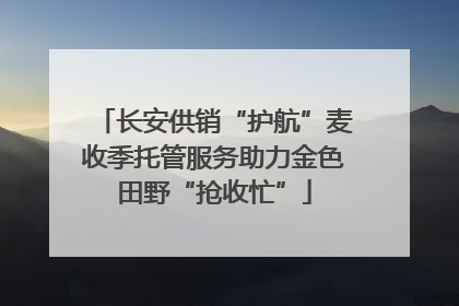 长安供销“护航”麦收季托管服务助力金色田野“抢收忙”