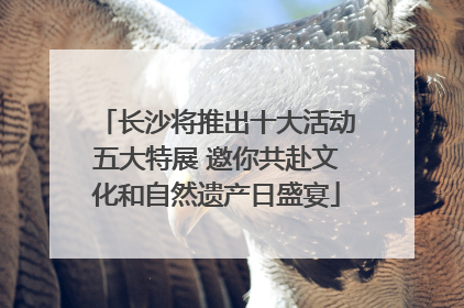 长沙将推出十大活动五大特展 邀你共赴文化和自然遗产日盛宴