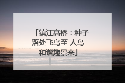 镇江高桥：种子落处飞鸟至 人鸟和谐趣景来