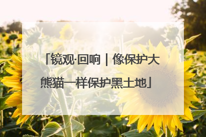 镜观·回响｜像保护大熊猫一样保护黑土地
