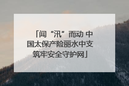 闻“汛”而动 中国太保产险丽水中支筑牢安全守护网